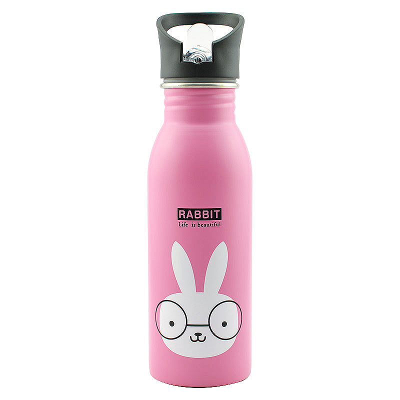 Stainless steel sports bottle