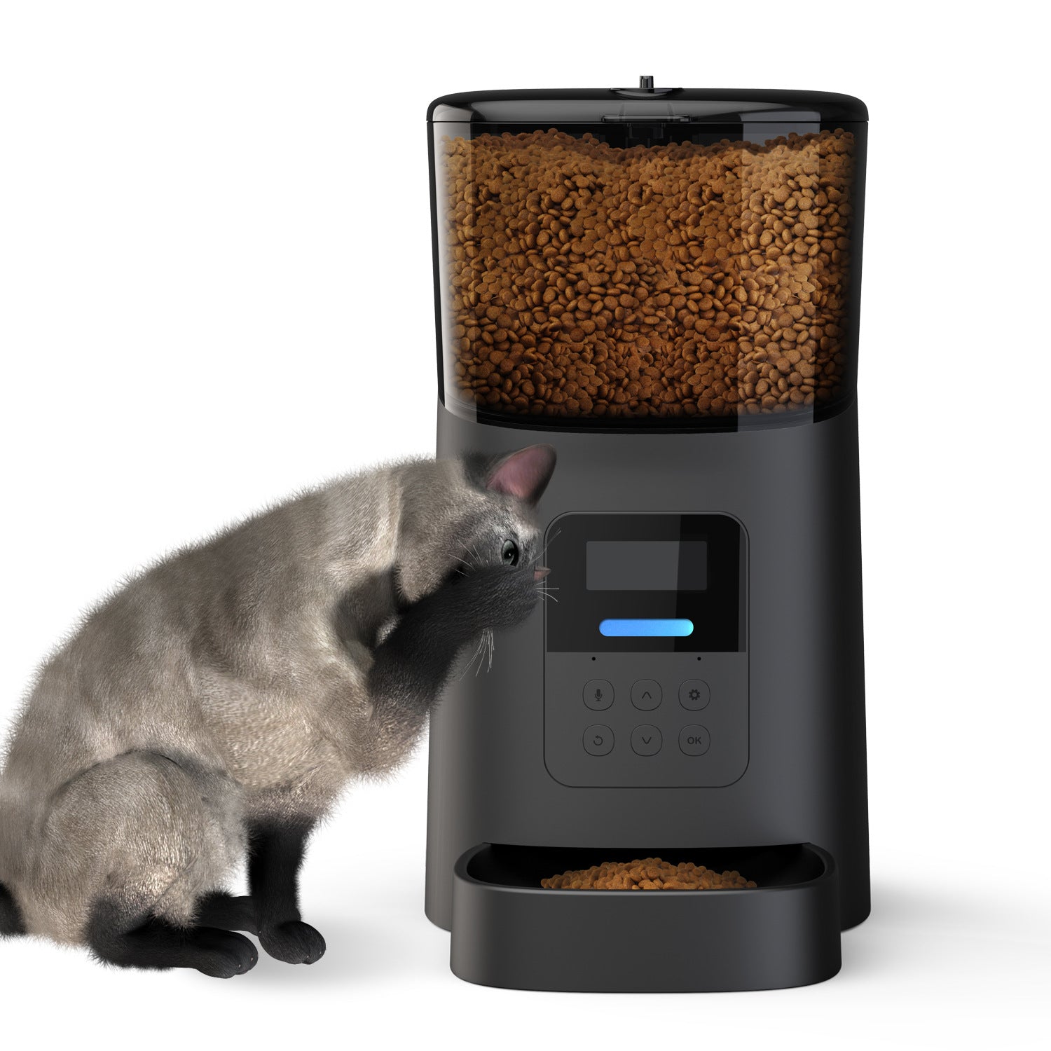 Automatic Pet Feeder Large-capacity Perspective Grain Bucket