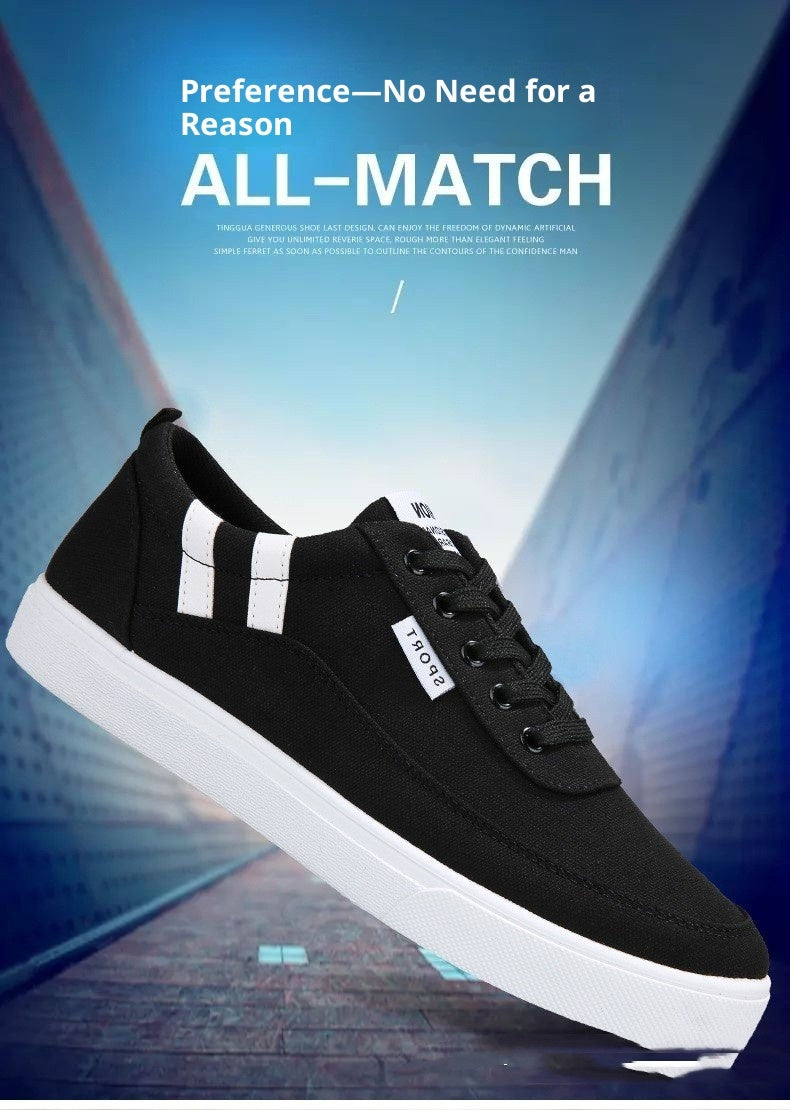 Spring Canvas Shoes Men's Low Top
