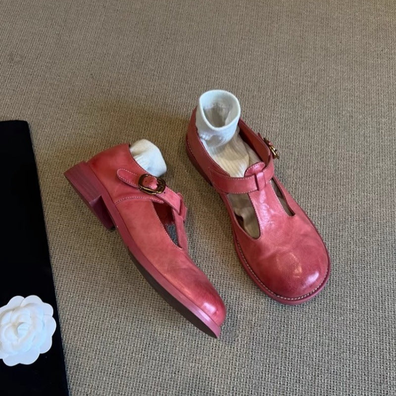 Retro Style Thick Heel Women's Round Head Brush Color Pumps