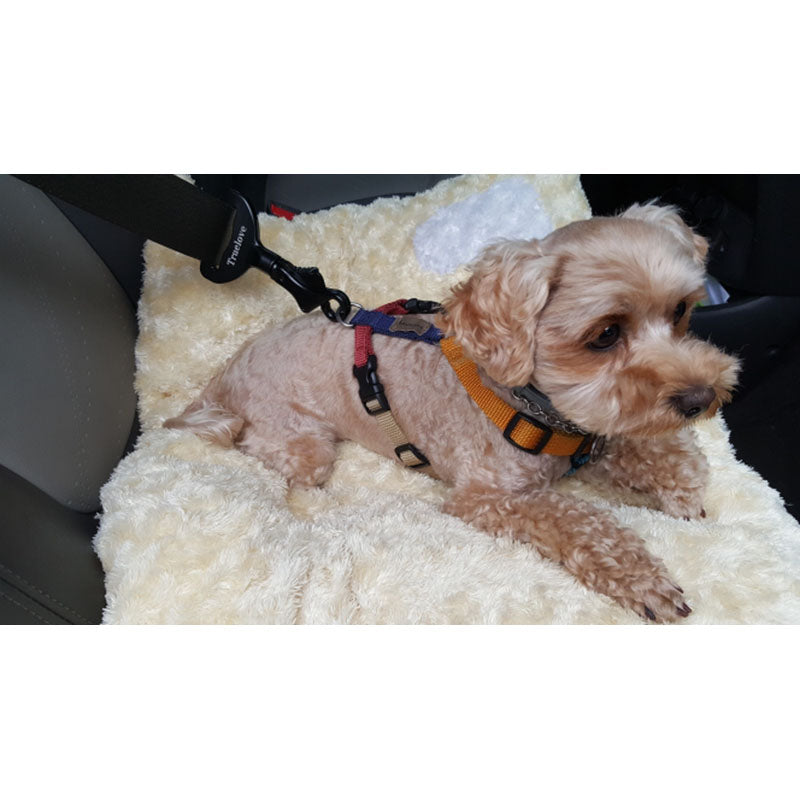 Pet Car Safety Buckle Car Accessories Holder