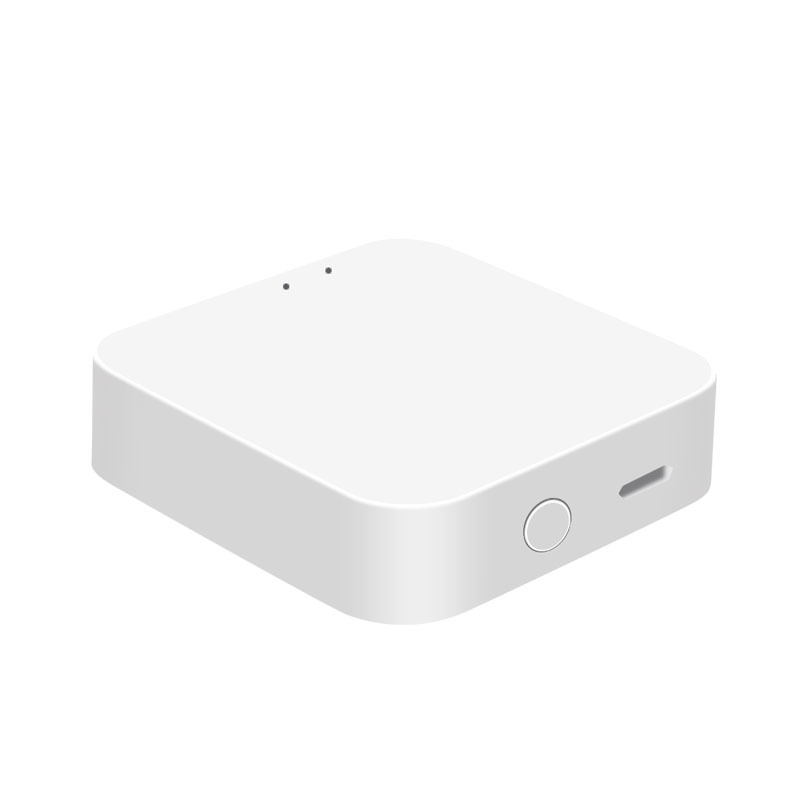 Multifunctional Bluetooth Gateway