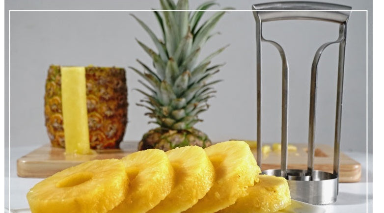 Stainless Steel Pineapple Machine Meat Extractor