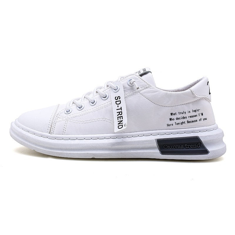 Breathable Ice Silk Cloth Shoes Thin Style Trendy Canvas Men's Shoes