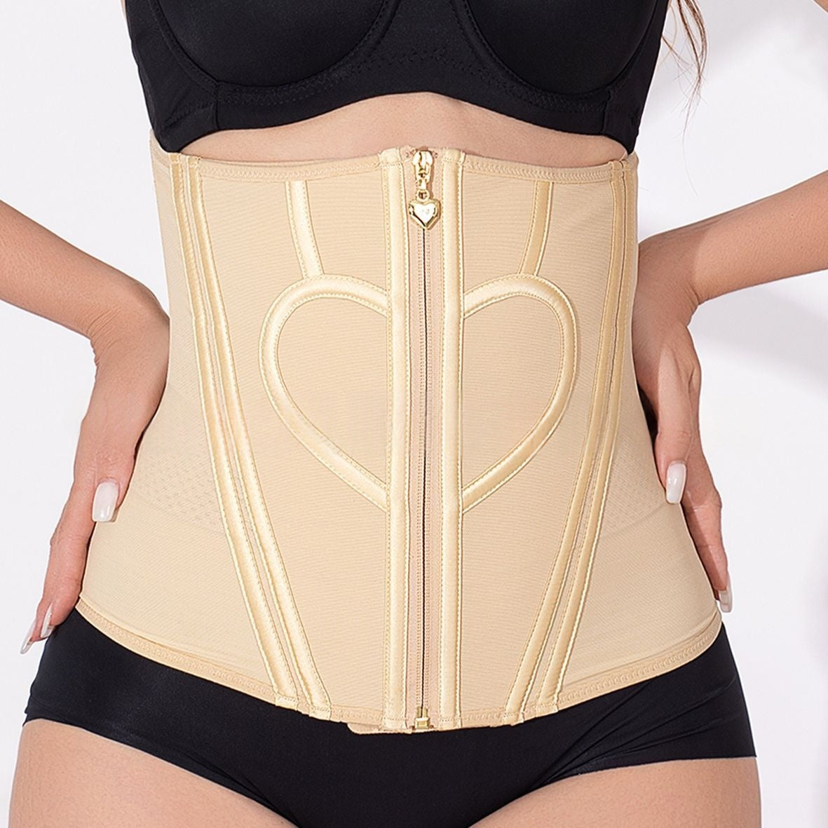 Mesh Heart-patterned 3-row-button Gold-zip Waist Cincher