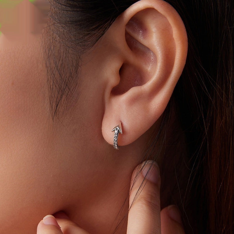 S925 Sterling Silver European And American Popular Design Sense Earrings