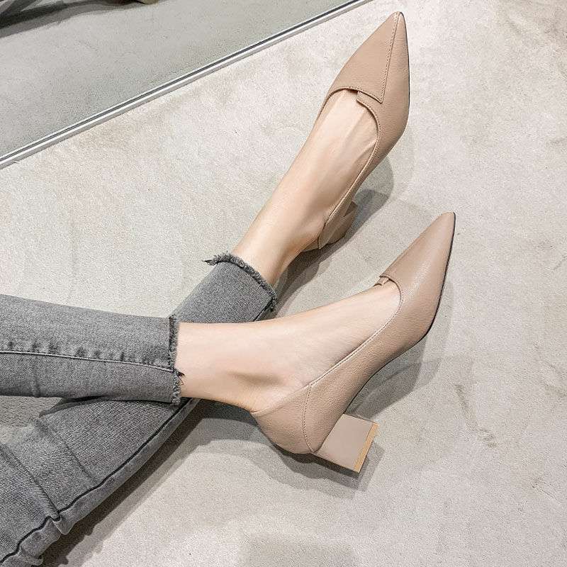 New Spring Versatile Low-cut Women's Mid Heel Chunky Heel Pointed-toe Soft Bottom Work Shoes