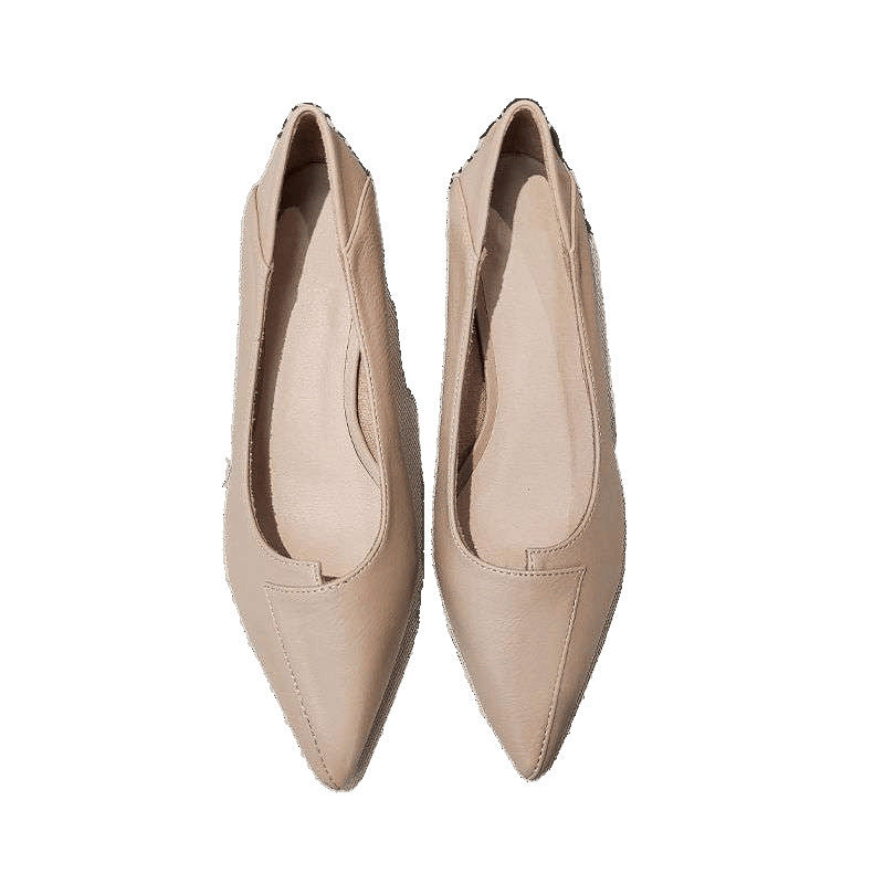 New Spring Versatile Low-cut Women's Mid Heel Chunky Heel Pointed-toe Soft Bottom Work Shoes