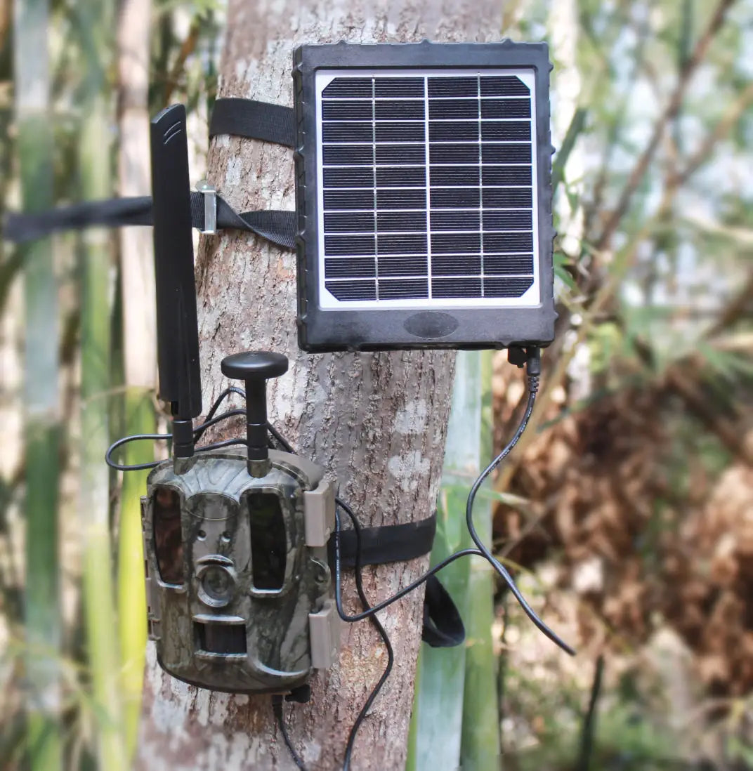Trail Camera Solar Panel 8000mah 3 Watt Hunting Camera 12v/9v/6v Output Built-In Lithium Battery IP66 Waterproof for Outdoor Cam
