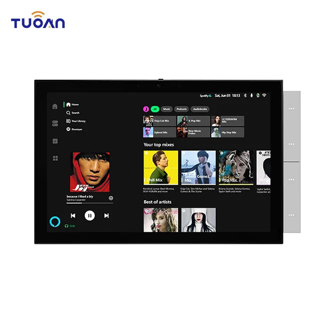 TuoAn 10 Inch Smart Home Zigbee Gateway Smart Multi Function Control System Support Alexa Voice Control 2 Gang Wall Switch