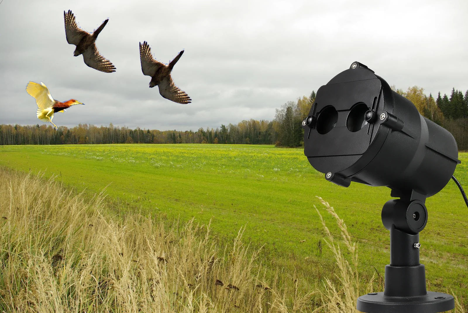 Outdoor Waterproof Bird Laser Deterrent Device Animal Repeller Scorpions Bed Bugs Spiders Bats Snakes Animal Control