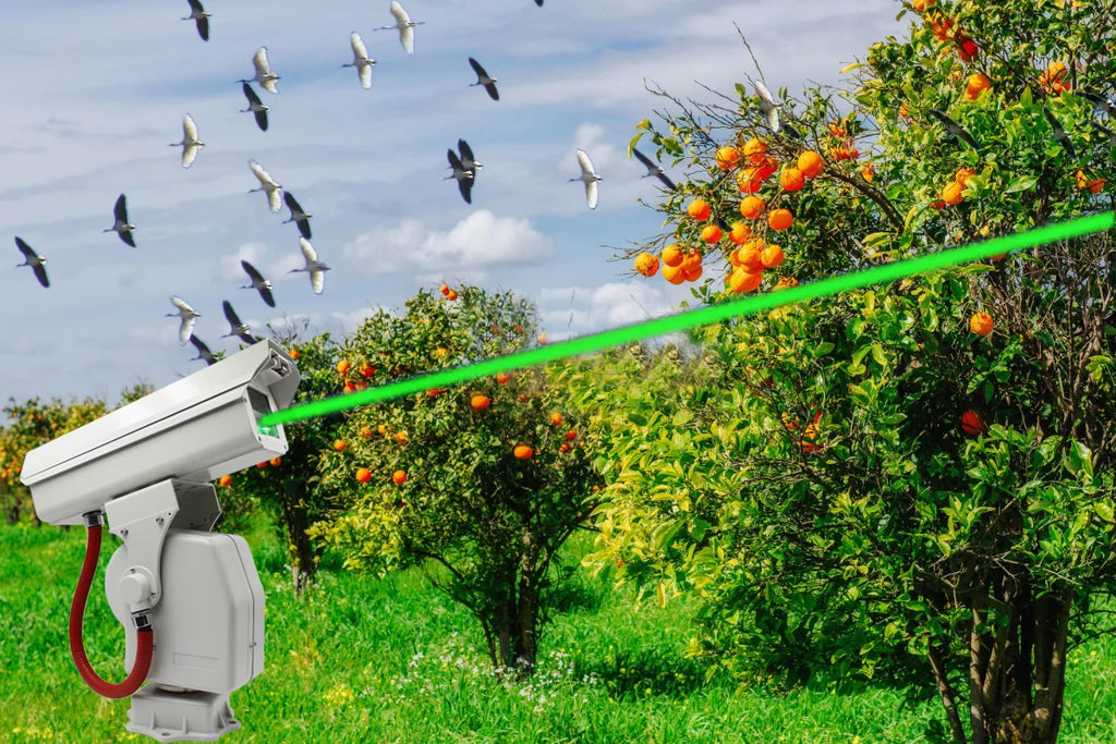 Ptz Long Range Day Night Vision Cctv Ptz Camera for Security Camera System Laser Bird Repellent