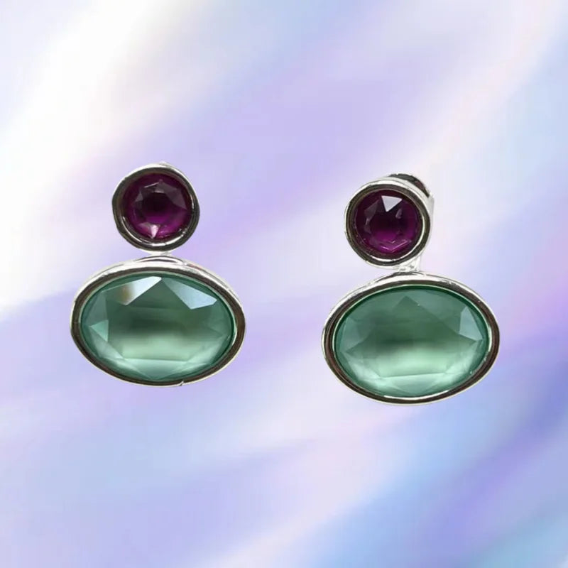 2025 New Hot Spanish Jewelry Women's Party Luxury Accessories; Exquisite Accessories; High Quality Earrings Gift 12