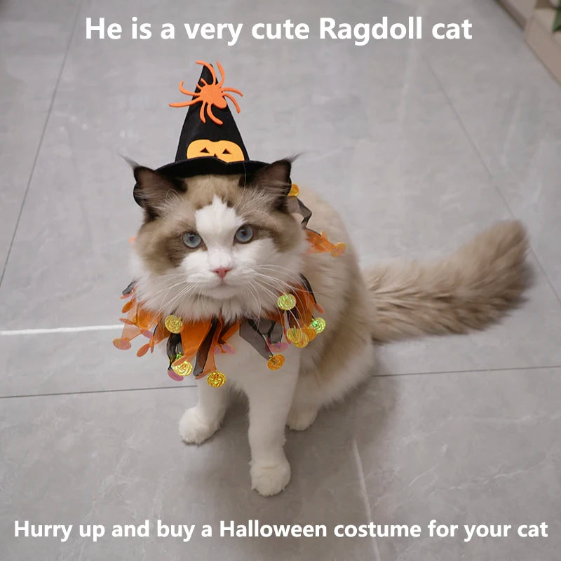 Halloween cat and dog costumes, cute pumpkin patterns, spider-shaped hats, funny role-playing props, collars, pet supplies