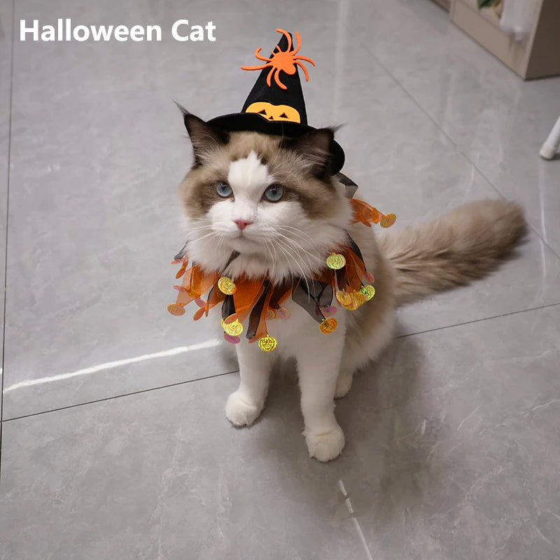 Halloween cat and dog costumes, cute pumpkin patterns, spider-shaped hats, funny role-playing props, collars, pet supplies