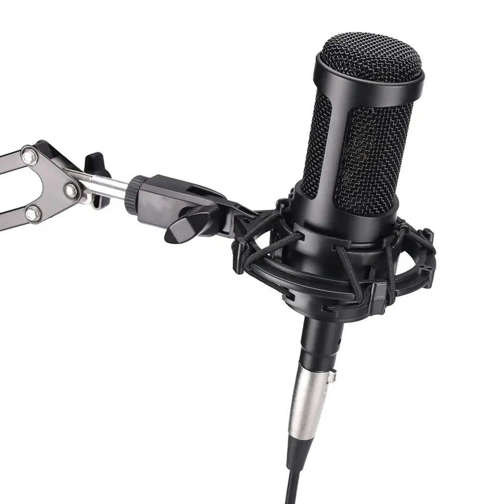 AT2035 Professional Cardioid Condenser Vocal Microphone for ive Recording Studio DJ Audio mixer stage Live broadcast karaoke