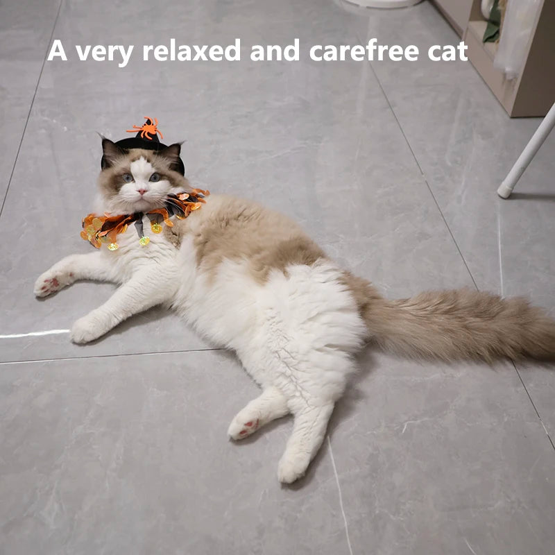 Halloween cat and dog costumes, cute pumpkin patterns, spider-shaped hats, funny role-playing props, collars, pet supplies