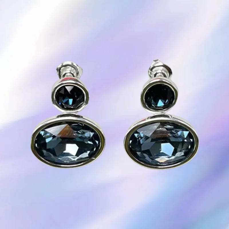 2025 New Hot Spanish Jewelry Women's Party Luxury Accessories; Exquisite Accessories; High Quality Earrings Gift 12