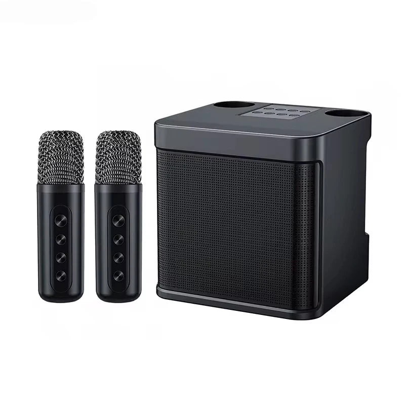 10W Powerful Wireless Portable Dual Microphone Bluetooth Sound Outdoor Family Party Karaoke Subwoofer Boom Box with 2 Microphone