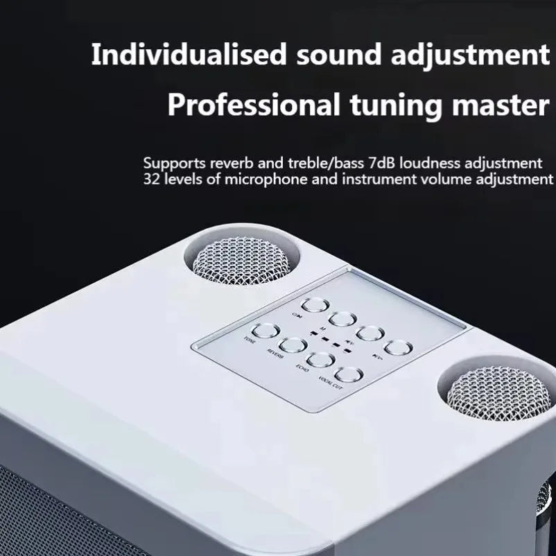 10W Powerful Wireless Portable Dual Microphone Bluetooth Sound Outdoor Family Party Karaoke Subwoofer Boom Box with 2 Microphone