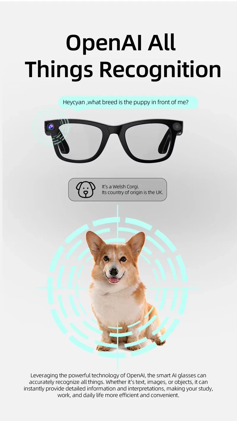 Xiaomi 800W Pixel Intelligent Glasses G300 AI HD Shooting Video Recording Voice Call Translation Smart Glasses Photochromic Lens