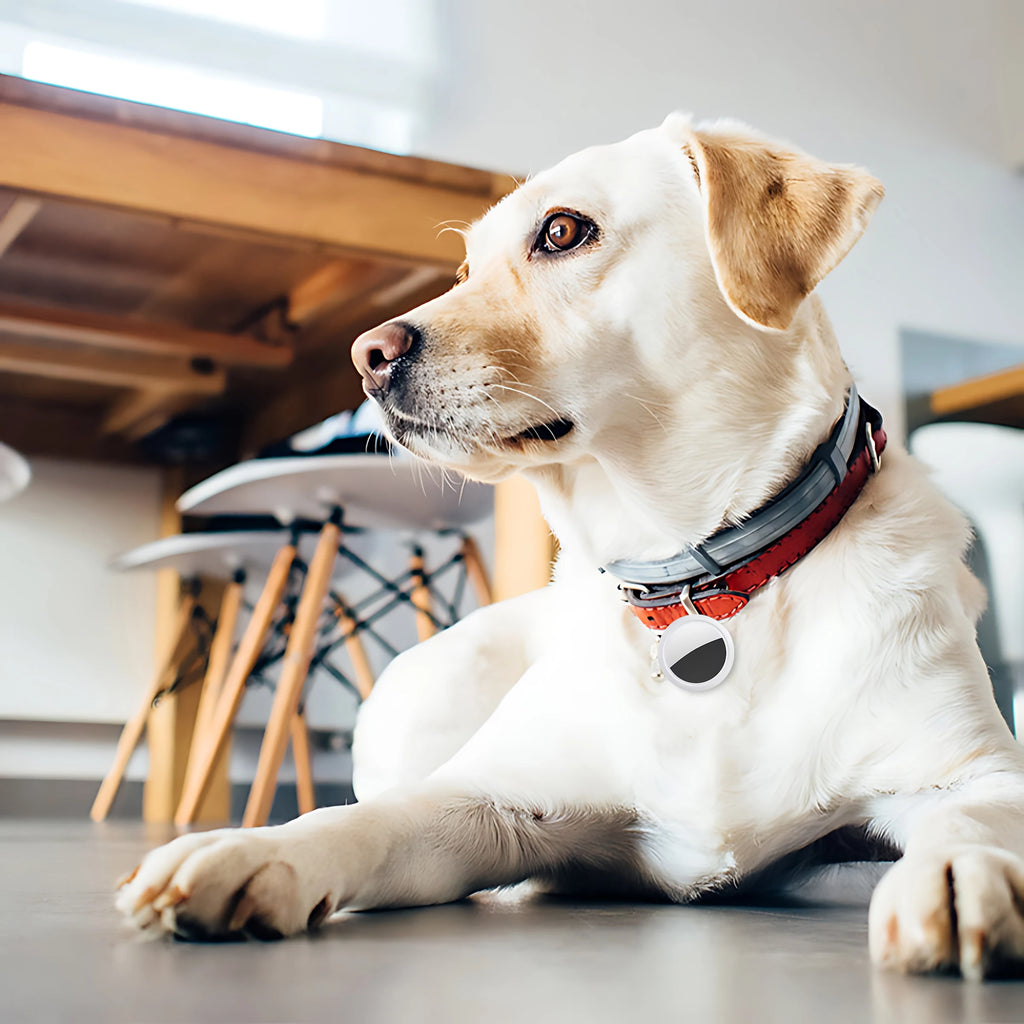 Smart Mini GPS Anti - lose Tracker Sound locate msg reminder alarm For keys wallets kids pets APP tracking on iOS & Android 2026