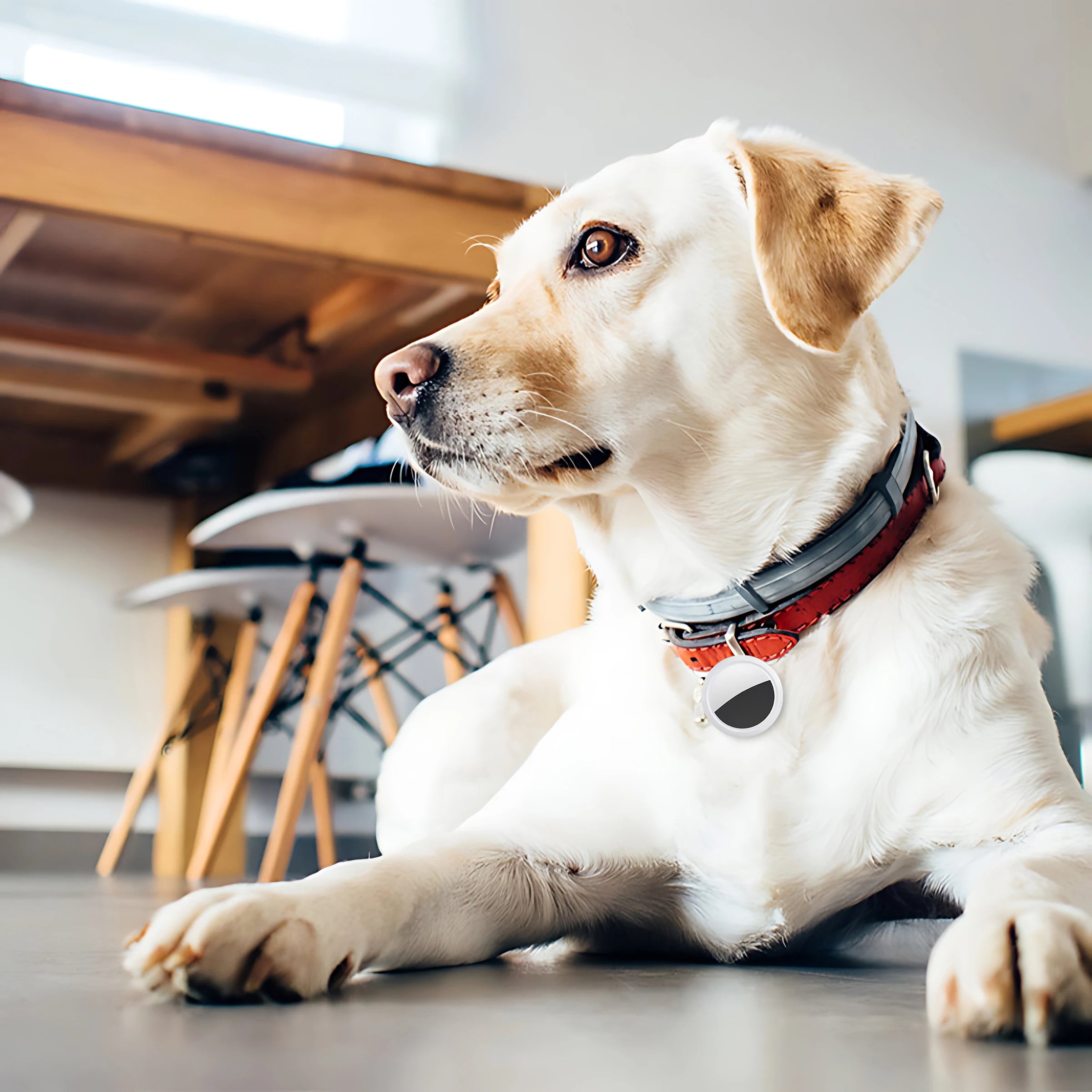 Smart Mini GPS Anti - lose Tracker Sound locate msg reminder alarm For keys wallets kids pets APP tracking on iOS & Android 2026