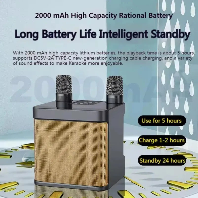 10W Powerful Wireless Portable Dual Microphone Bluetooth Sound Outdoor Family Party Karaoke Subwoofer Boom Box with 2 Microphone