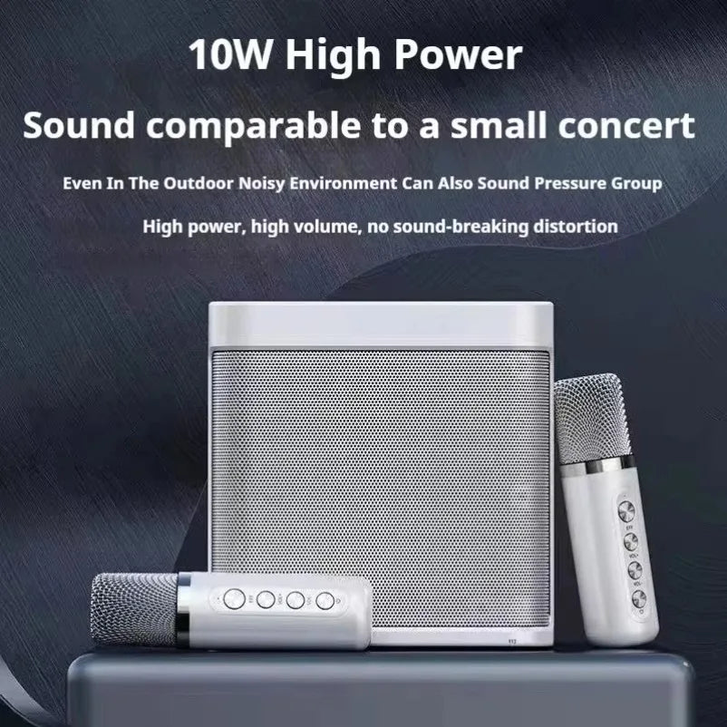 10W Powerful Wireless Portable Dual Microphone Bluetooth Sound Outdoor Family Party Karaoke Subwoofer Boom Box with 2 Microphone