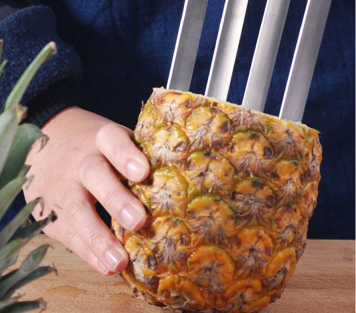 Stainless Steel Pineapple Machine Meat Extractor